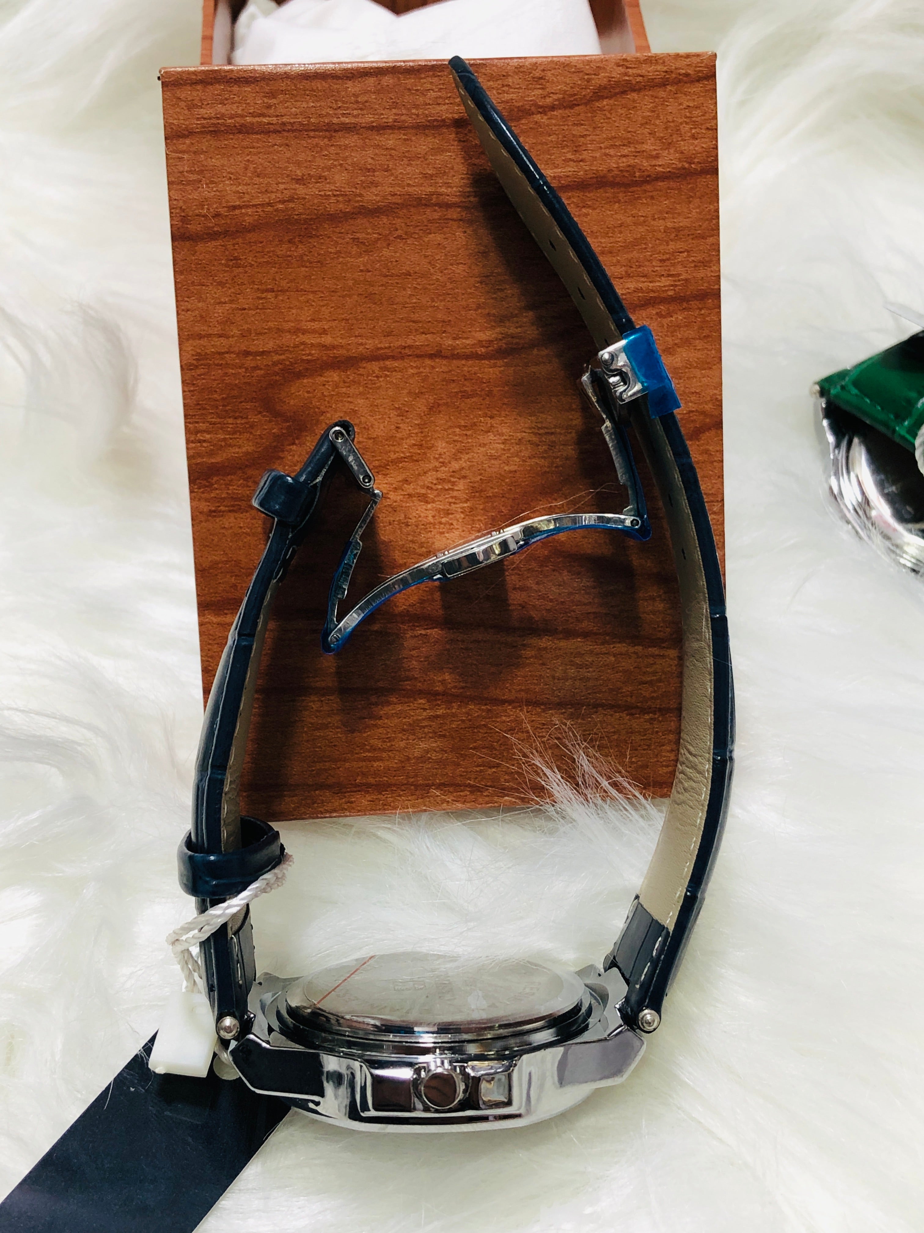 CASIRUI ORIGNAL WATCH